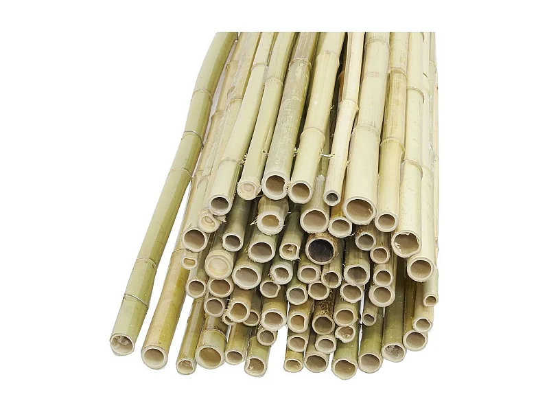 Canisse en bambou 1,5 x 1,8 m