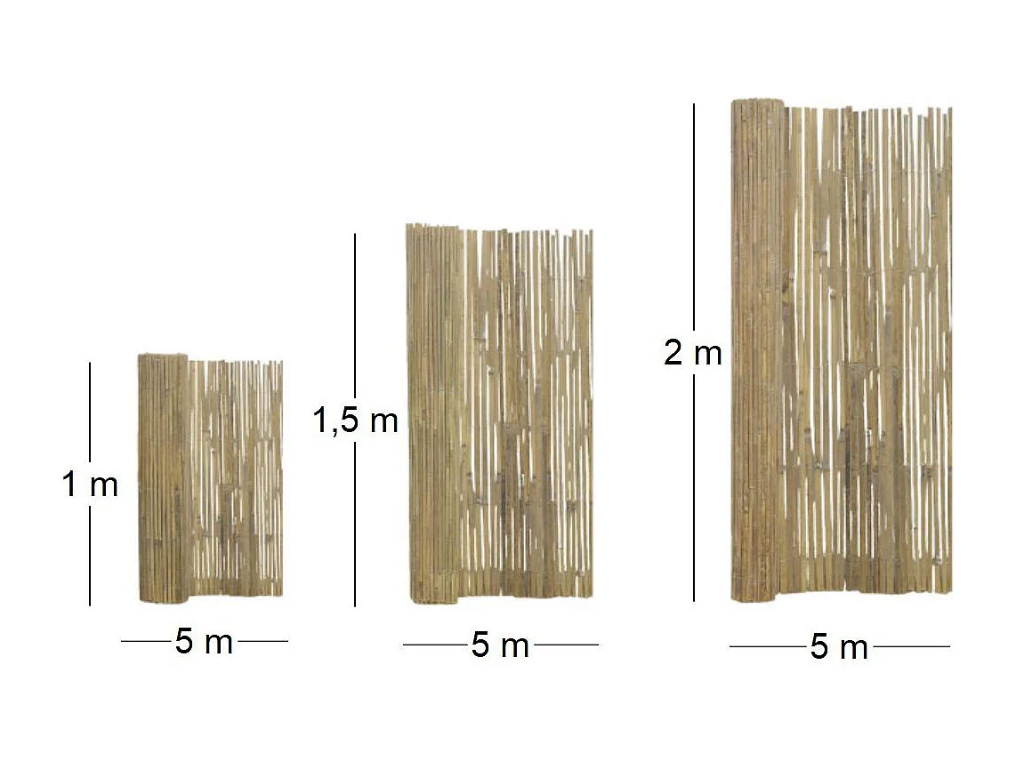 Canisse en bambou naturel - 1,5 x 5m [A l'unité]