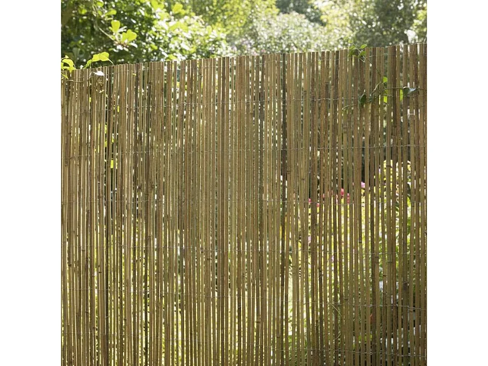 Canisse en bambou naturel - 2 x 5m [A l'unité]