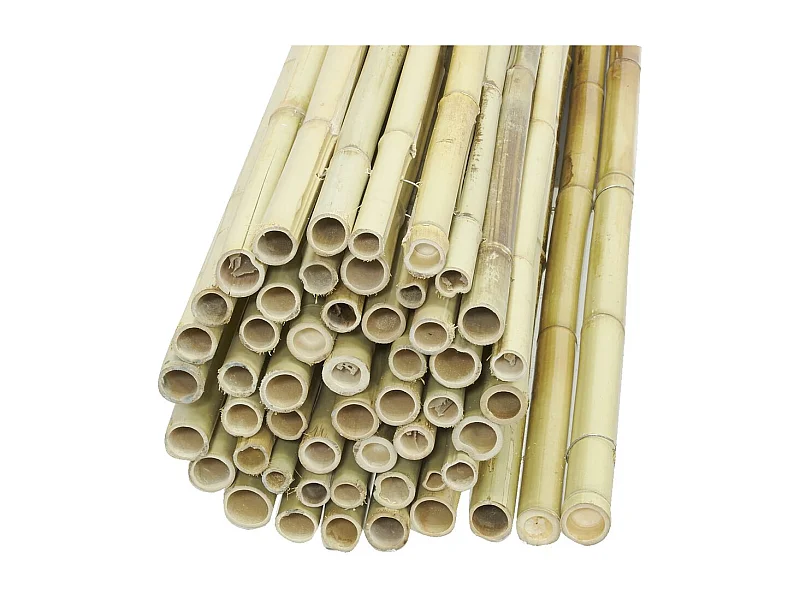 Canisse en bambou 2 x 1,8 m