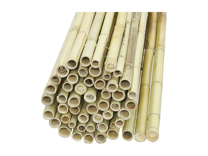 Canisse en bambou 2 x 1,8 m