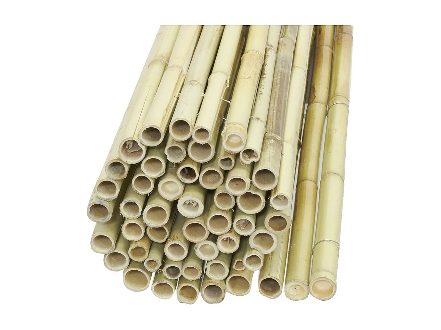 Canisse en bambou 2 x 1,8 m