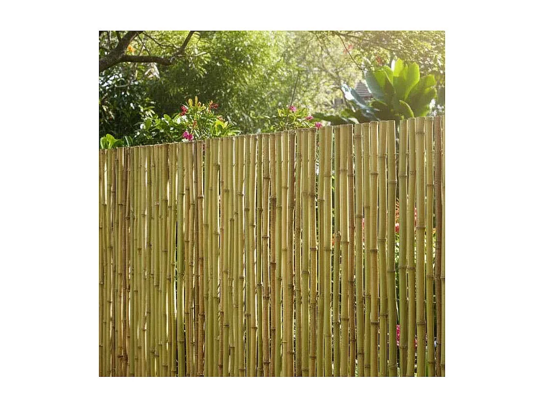 Canisse en bambou 2 x 1,8 m