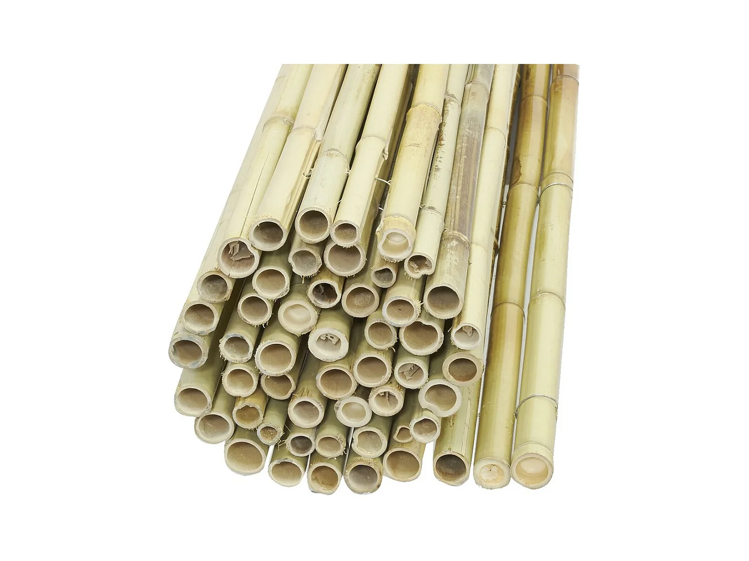 Canisse en bambou 2 x 1,8 m