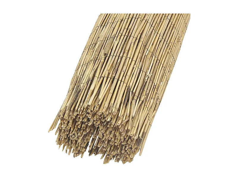 Canisse en roseau 1,5 x 5 m