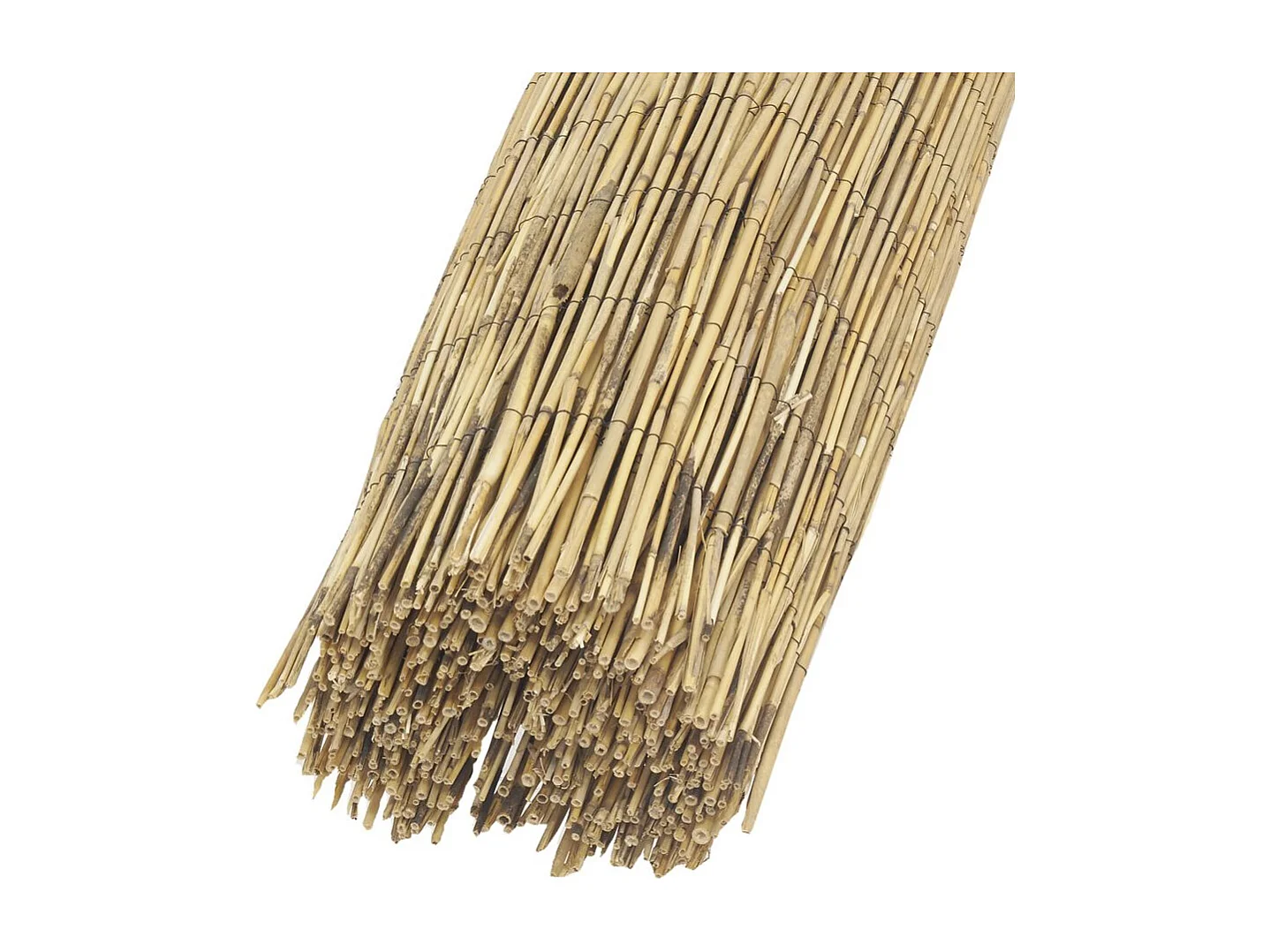 Canisse en roseau 1,5 x 5 m