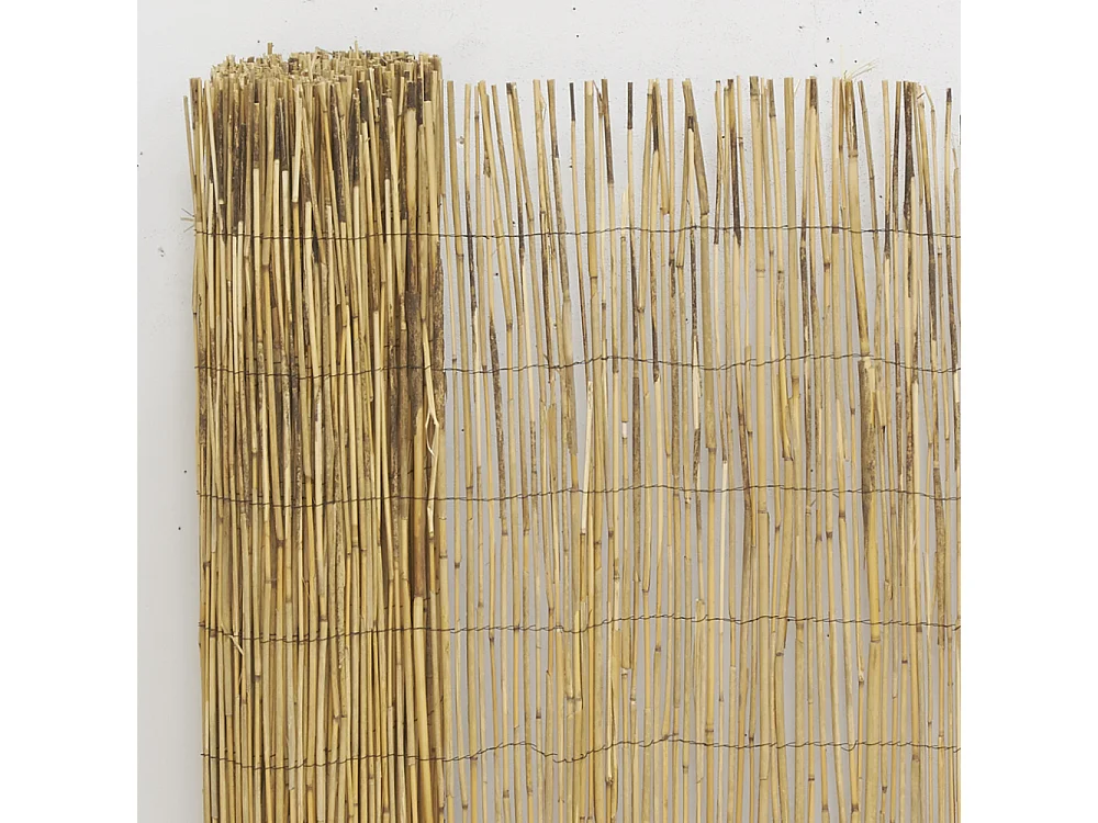 Canisse en roseau 1,5 x 5 m