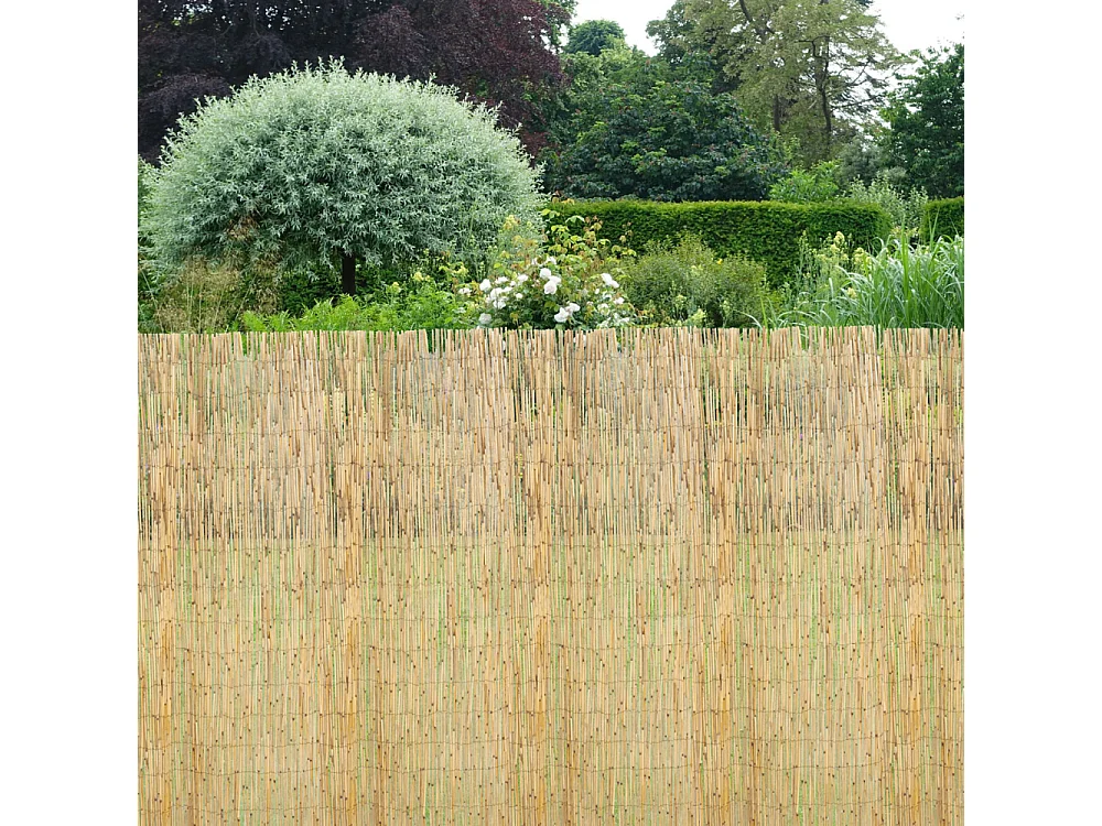 Canisse en roseau 1,5 x 5 m