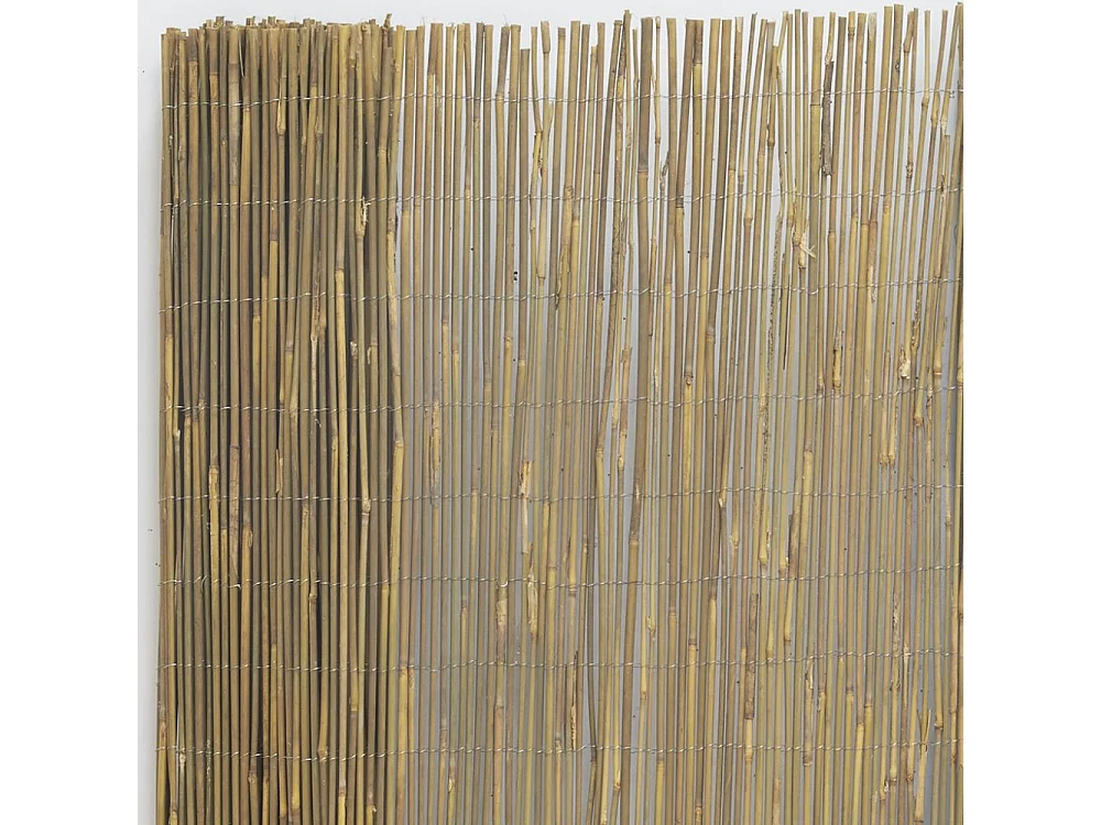 Canisse en petit bambou 1,5 x 5 m