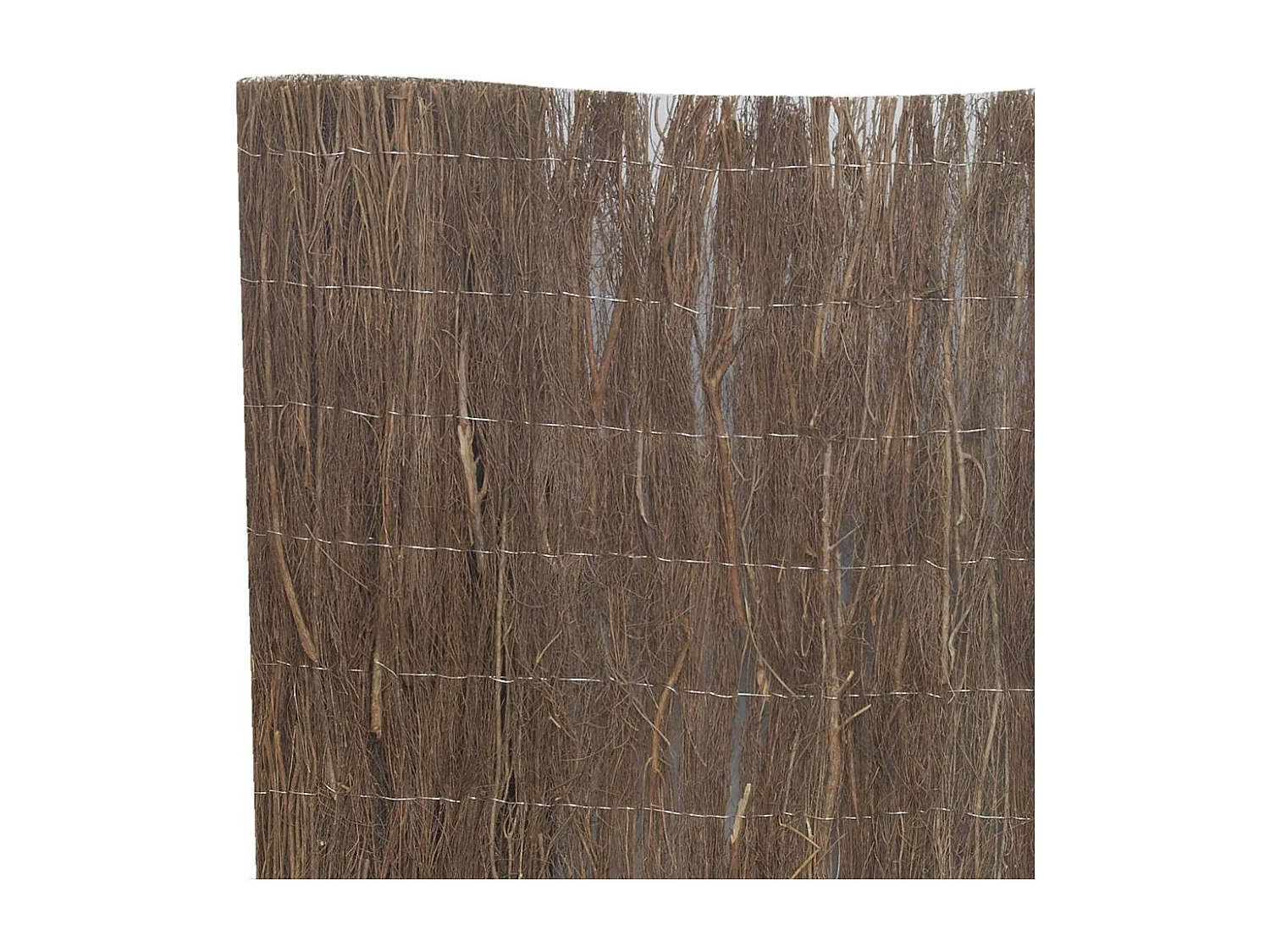 Canisse en brande de bruyère