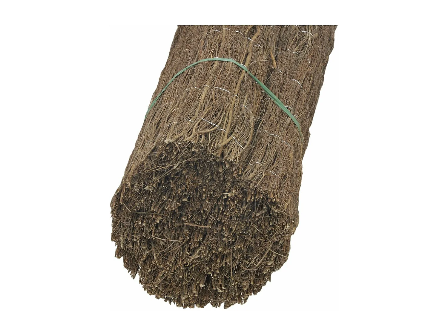 Canisse en brande de bruyère