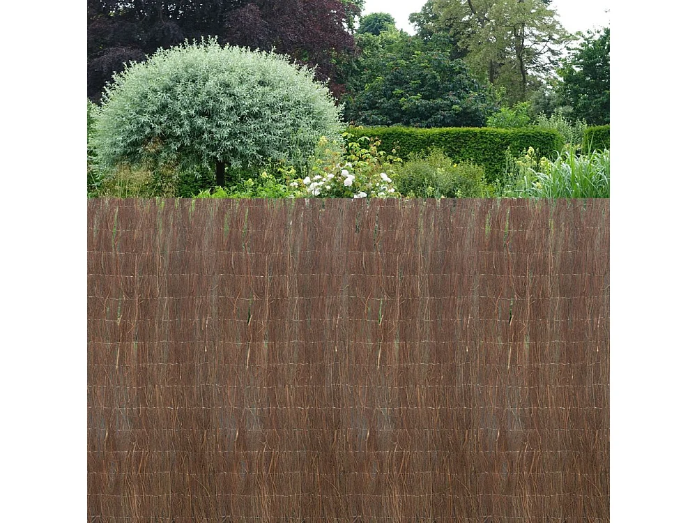 Canisse en brande de bruyère