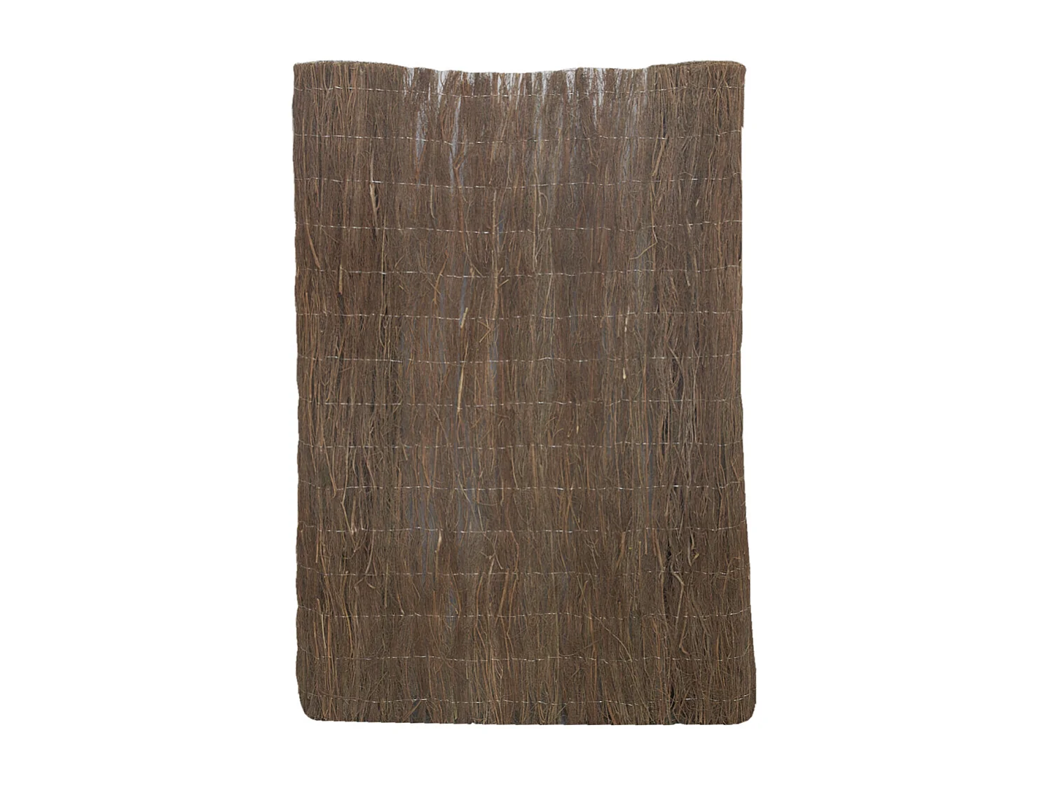 Canisse en brande de bruyère