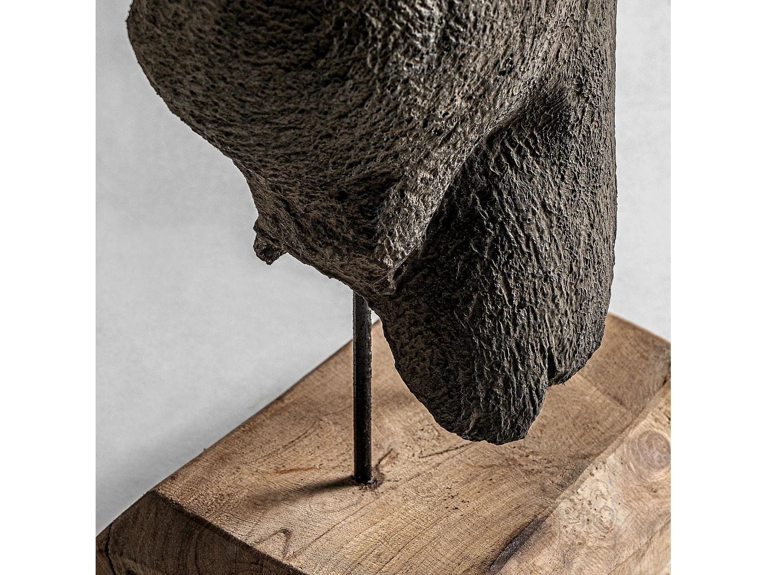 Buste man Gris, Naturel