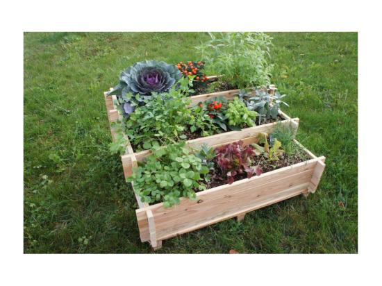 vente unique Potager escalier à légumes en mélèze