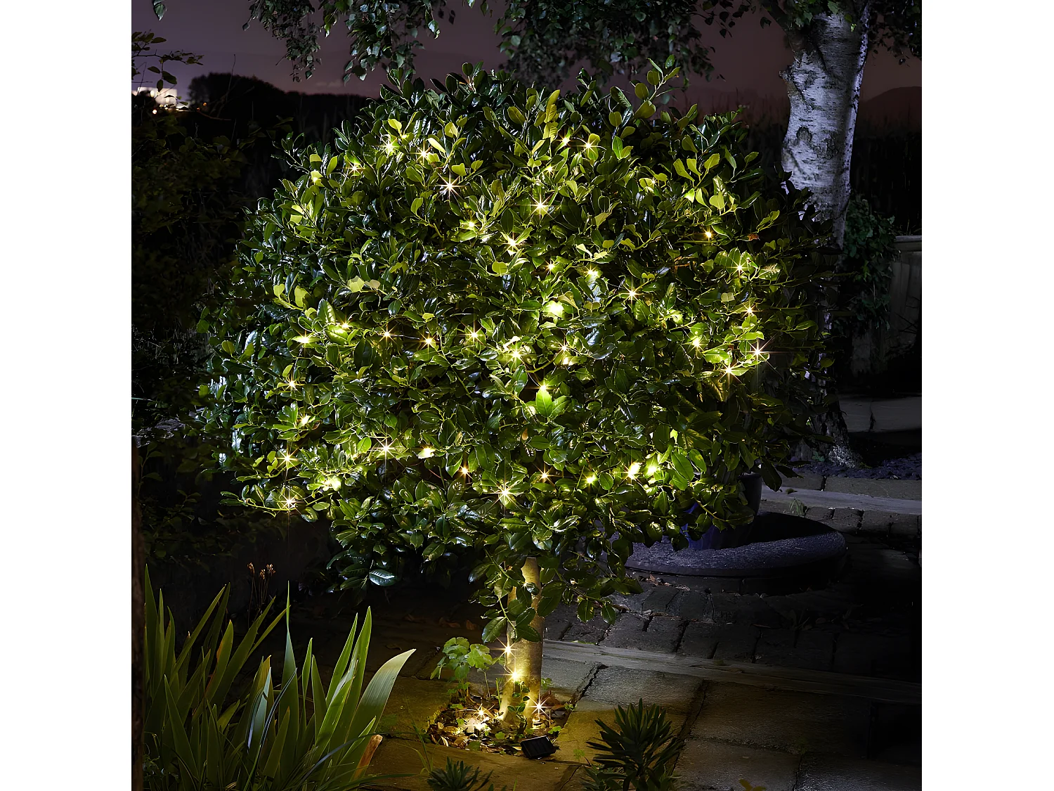 Guirlande solaire Luciole 200 leds