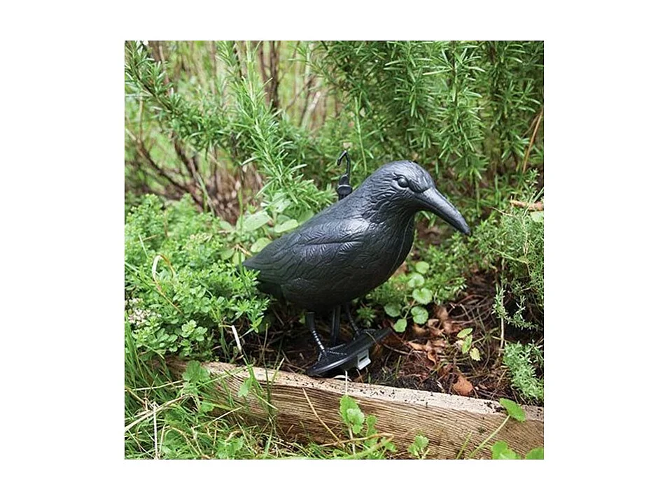 Epouvantail corbeau pour éloigner les pigeons
