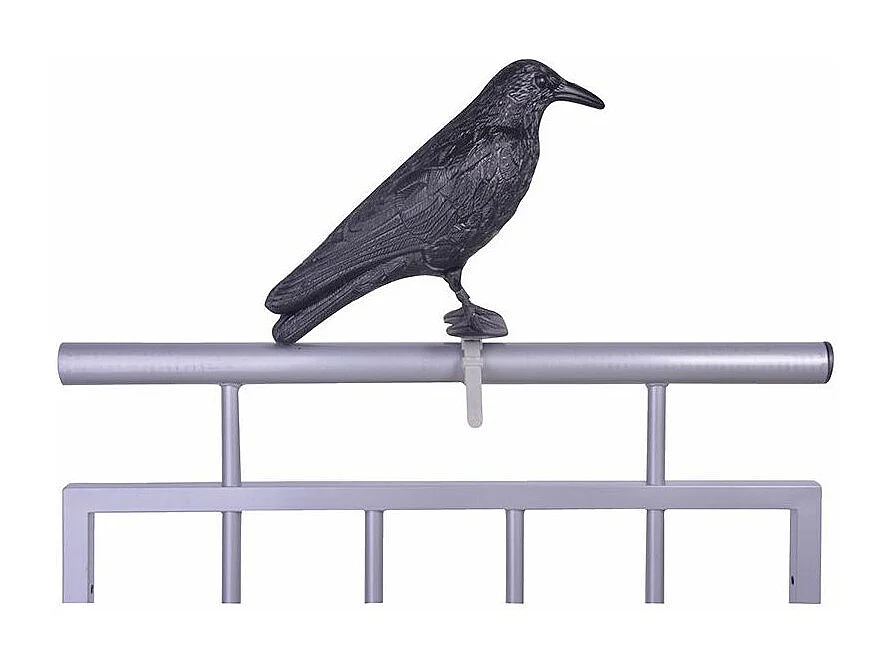 Epouvantail corbeau pour éloigner les pigeons