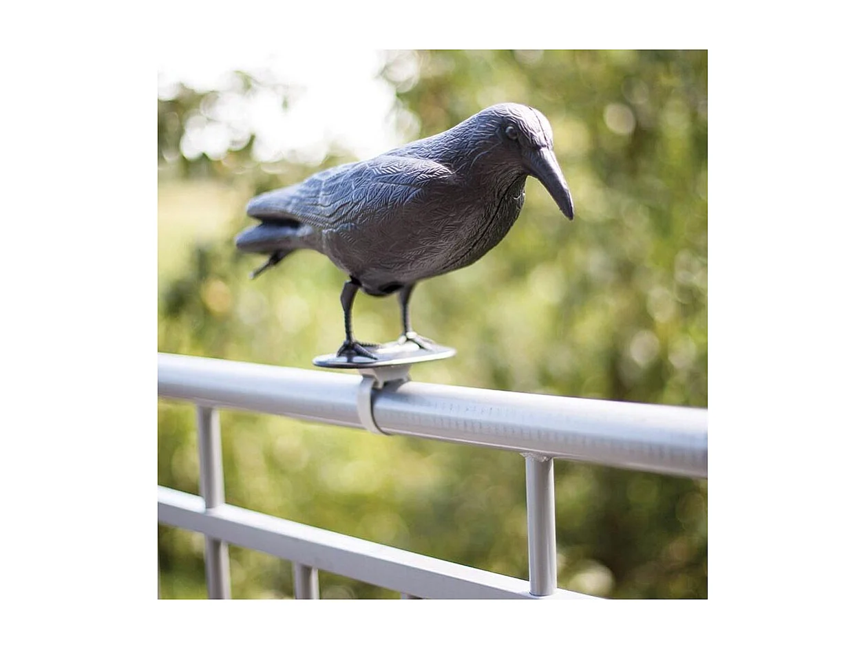 Epouvantail corbeau pour éloigner les pigeons