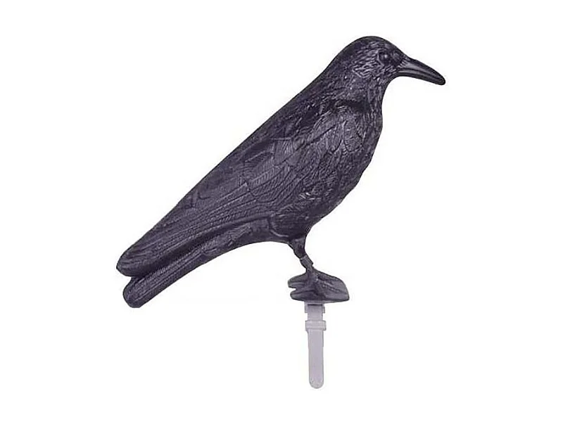 Epouvantail corbeau pour éloigner les pigeons