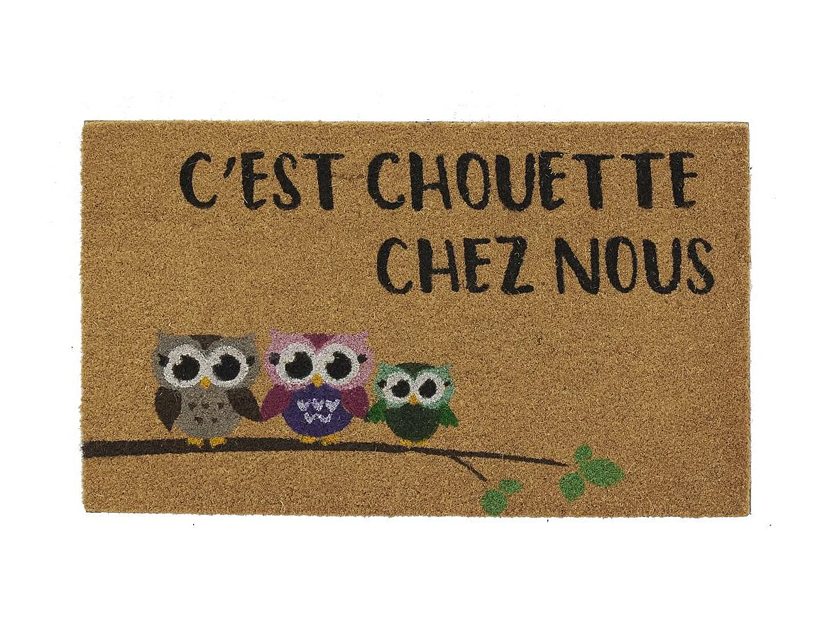 Paillasson coco intérieur extérieur 75 x 45 cm C'est chouette chez nous