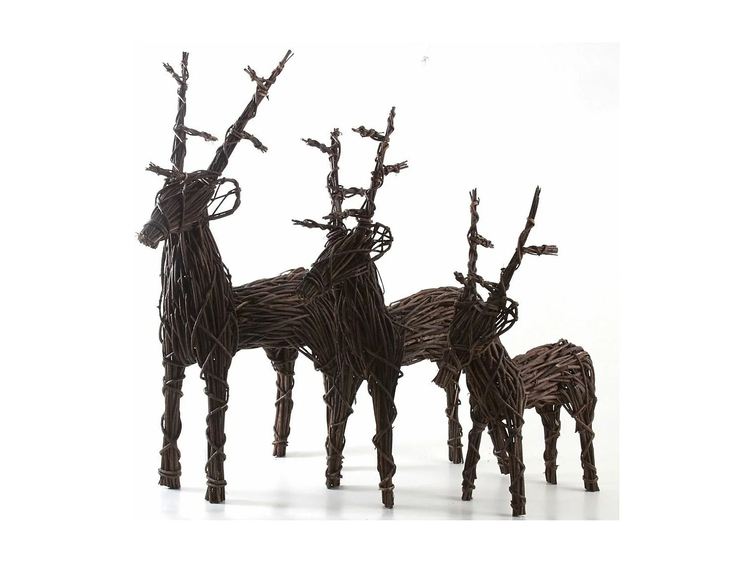 Cerf sur pied Moyen modèle