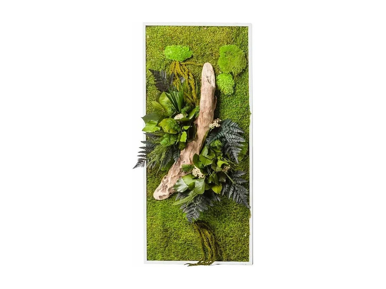 Pflanzenbild stabilisiert Natur Rechteck 57 x 97 cm