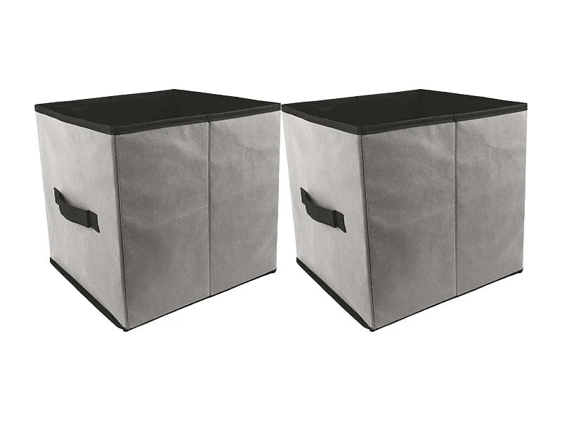 Cube de rangement 30 x 30 cm Smart (Lot de 2)