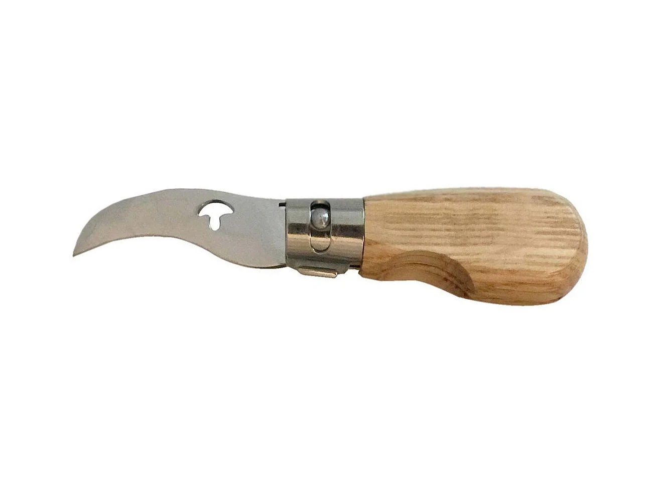 Coltello pieghevole per funghi con manico in quercia