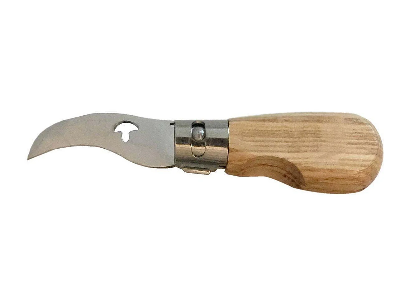 Klappbares Pilzmesser mit Eichenholzgriff