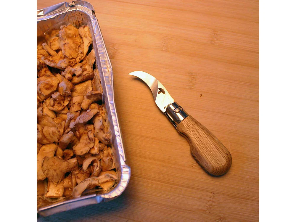 Klappbares Pilzmesser mit Eichenholzgriff