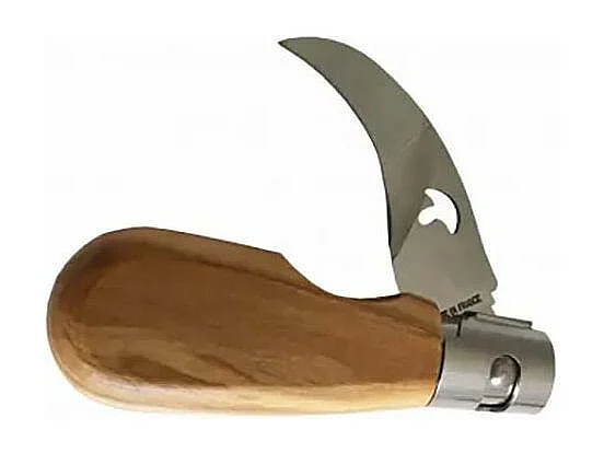 Klappbares Pilzmesser mit Eichenholzgriff