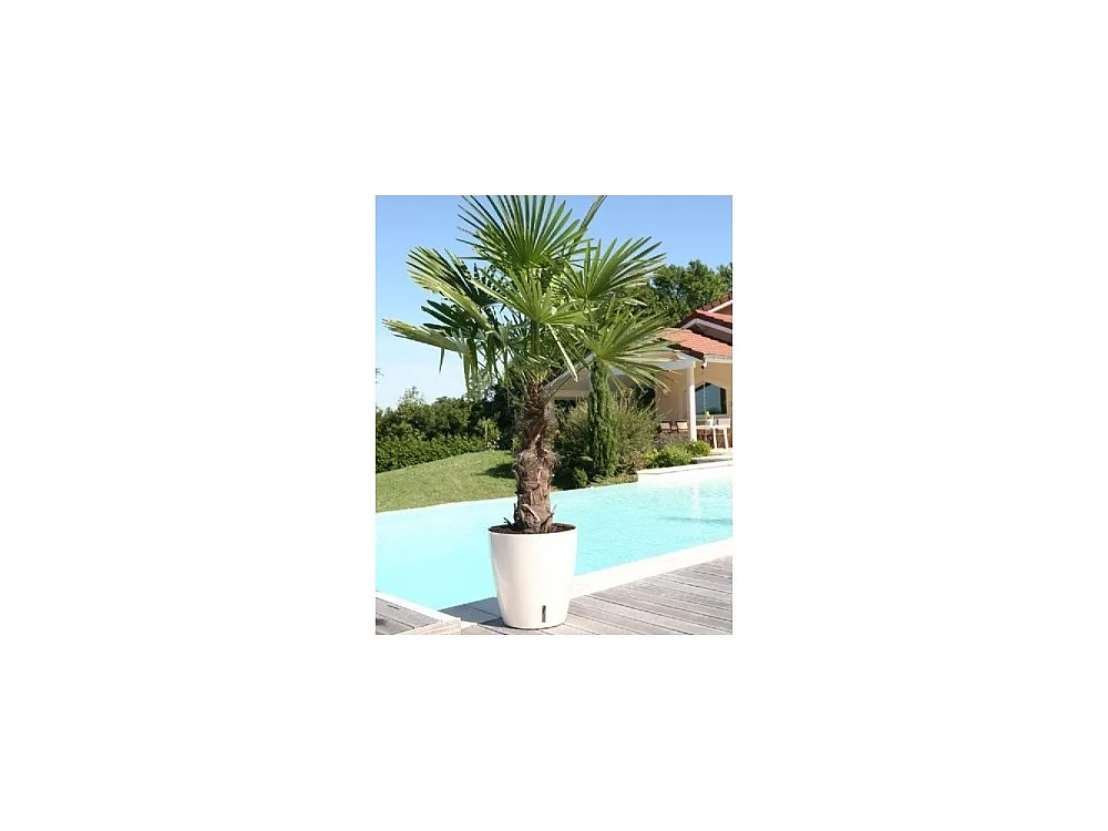 Pot en plastique rond avec réserve d'eau 45 cm Eva