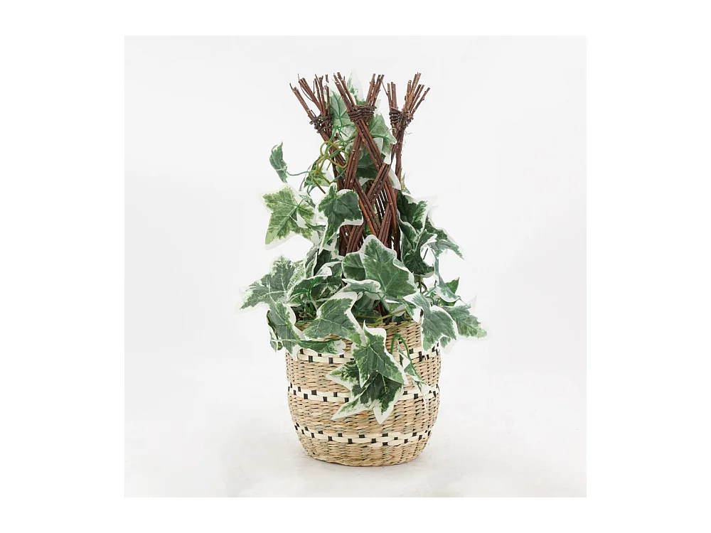 Cache-pots en jonc naturel et noir (lot de 3)