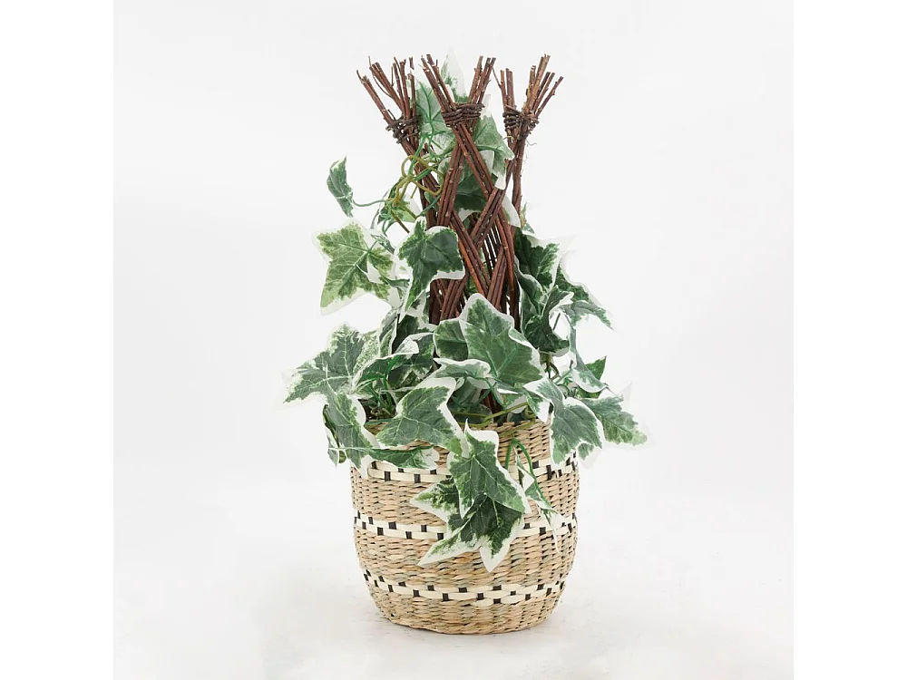 Cache-pots en jonc naturel et noir (lot de 3)