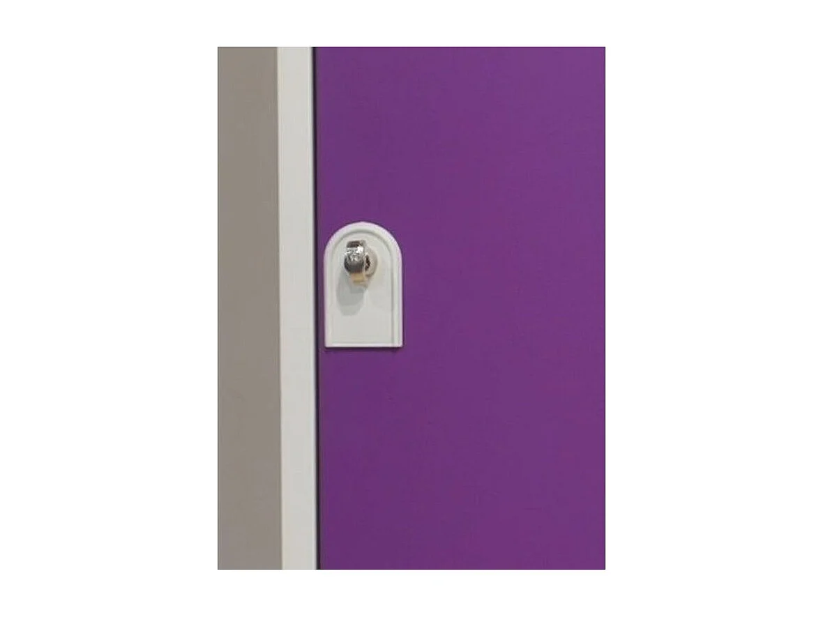 Vestiaire industrie en acier 1 porte Valeo L30xH180xP50 – Fonctionnalité et Robustesse-Violet
