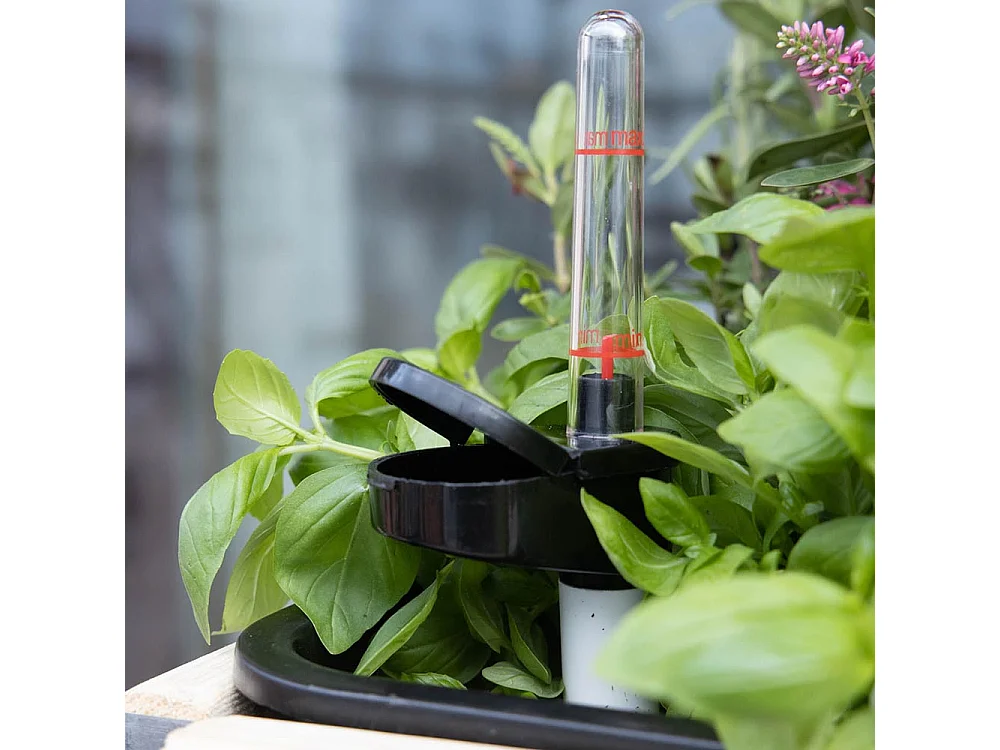 Système d'auto-arrosage pour potager