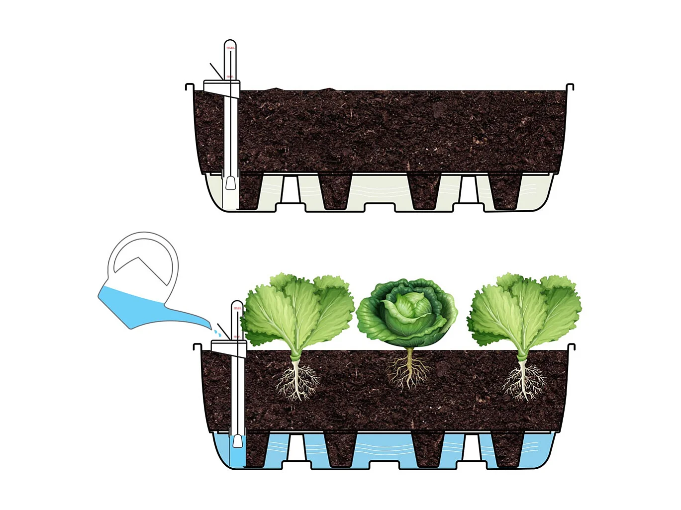 Système d'auto-arrosage pour potager