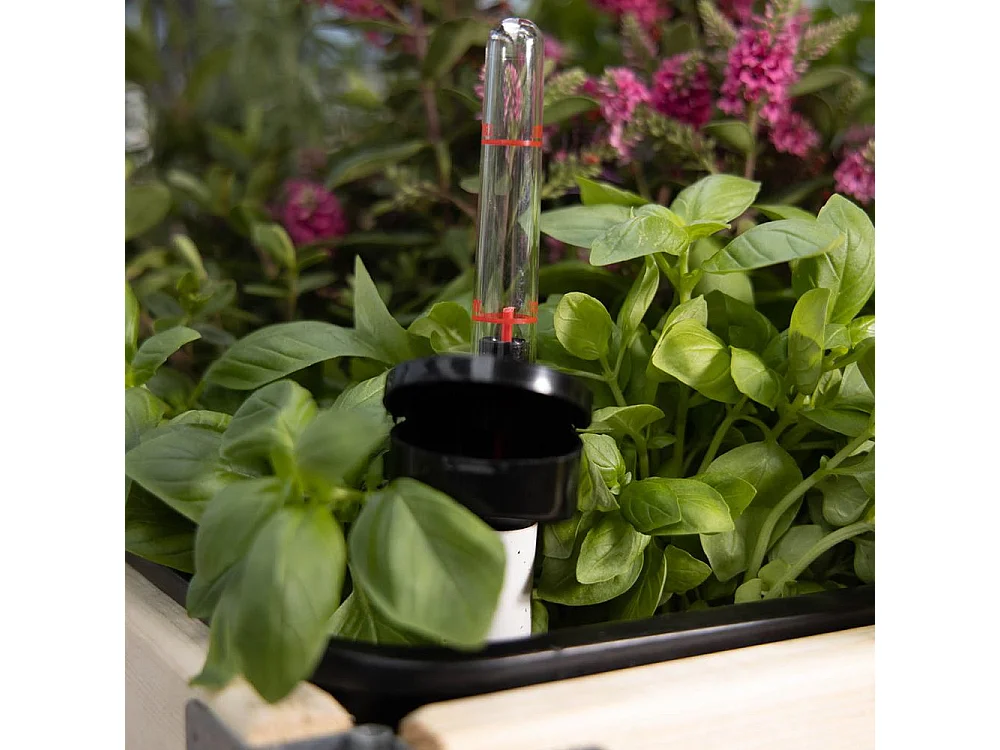 Système d'auto-arrosage pour potager