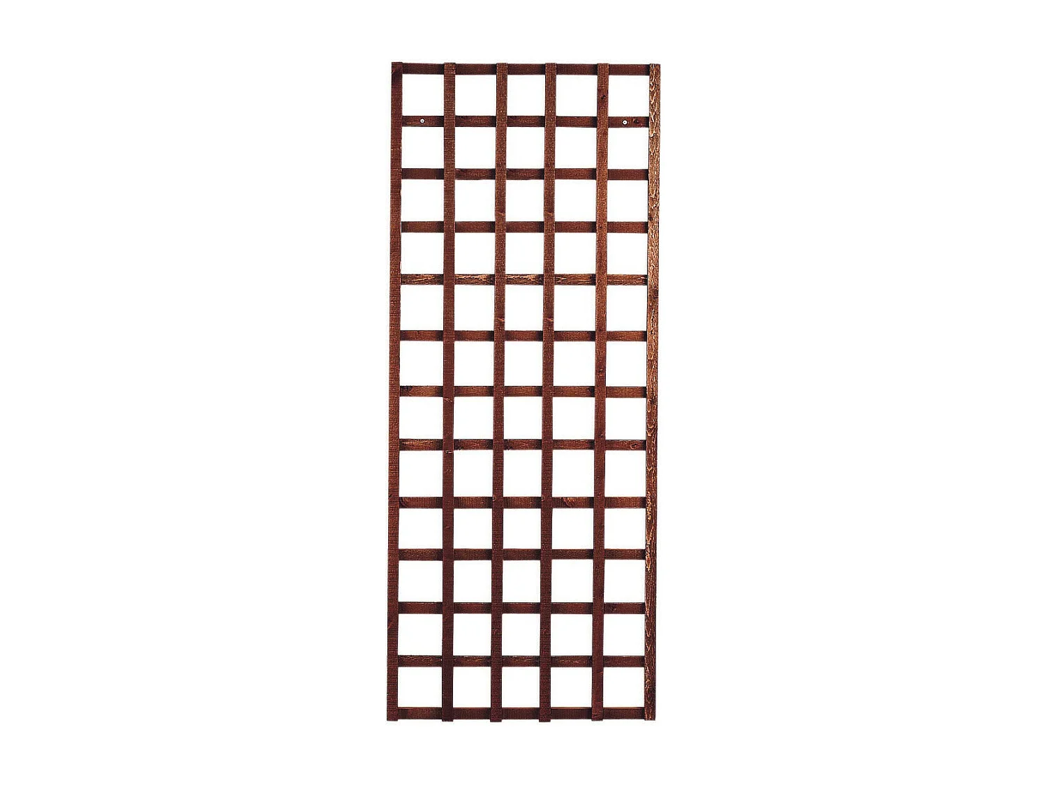 Panneau trellis en bois FSC 1.8x0.6m