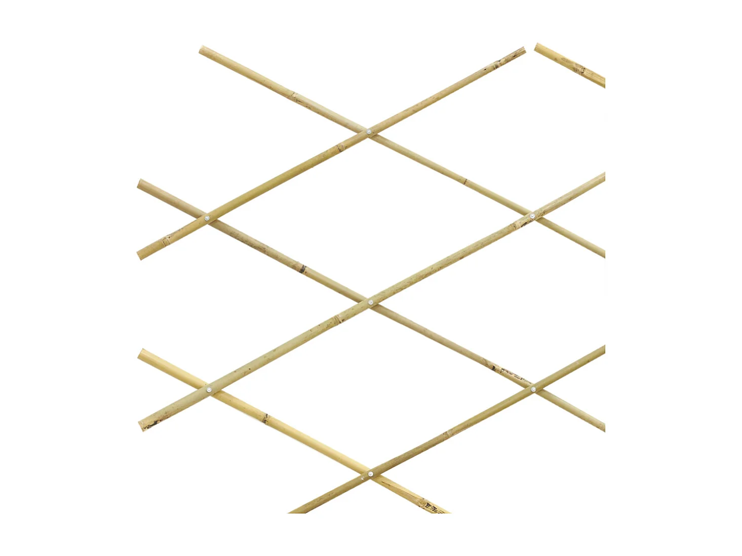 Treillis extensible en bambou