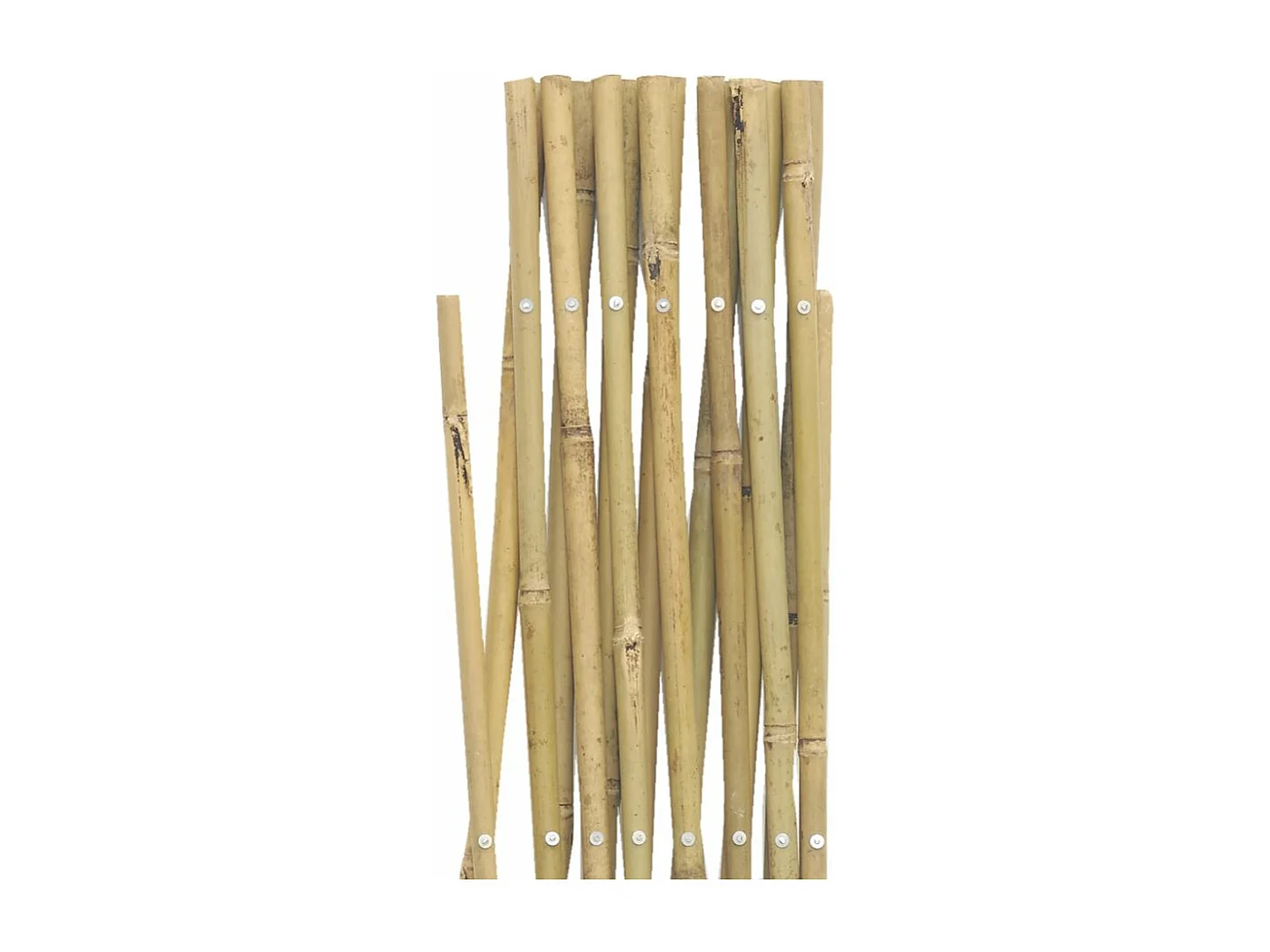 Treillis extensible en bambou