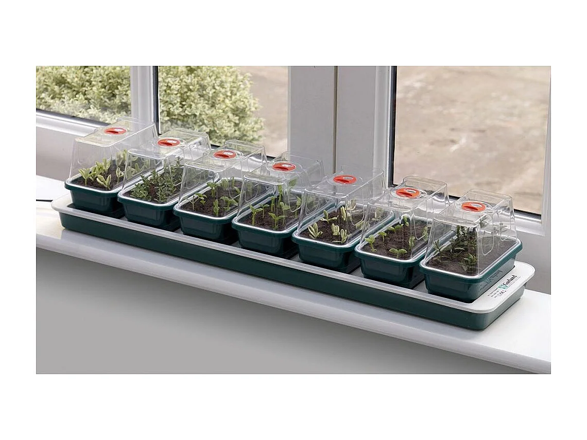 Mini-Gewächshäuser 13 W (7-stück)