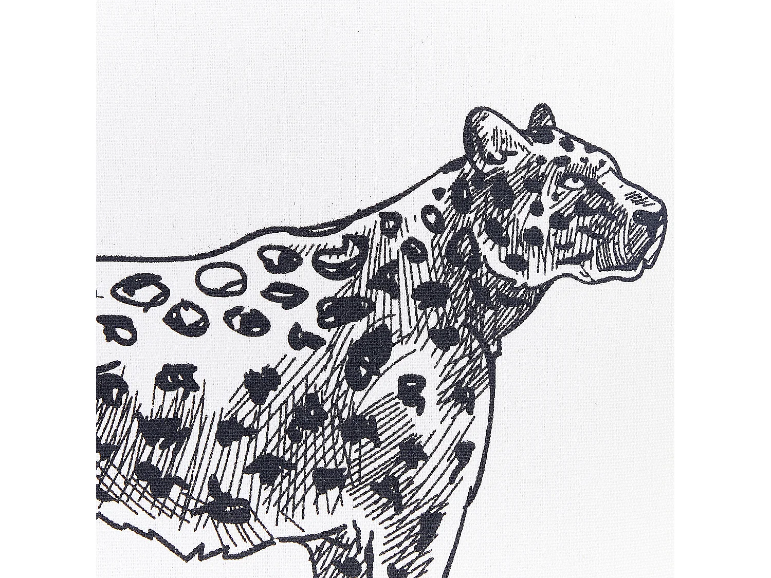 Set van 2 decoratieve kussens MARULA Katoen 45 x 45 cm Wit Dierenprint