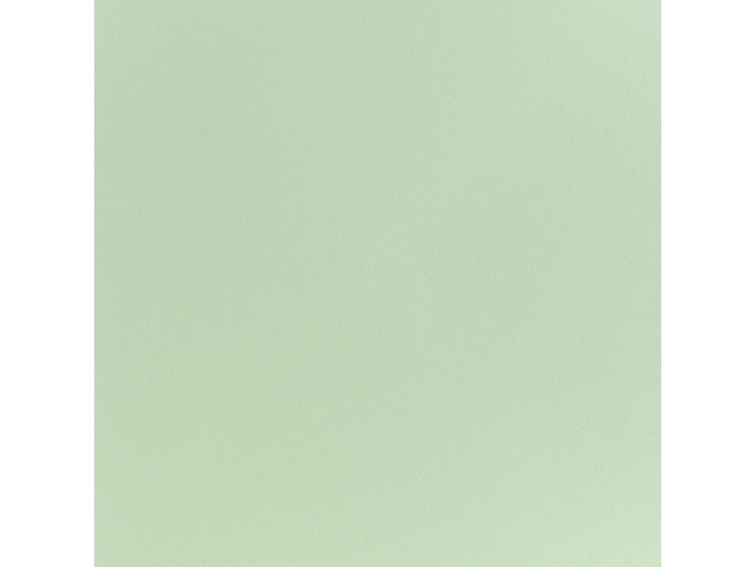 Lot de 2 chaises de salle à manger UTICA Vert clair