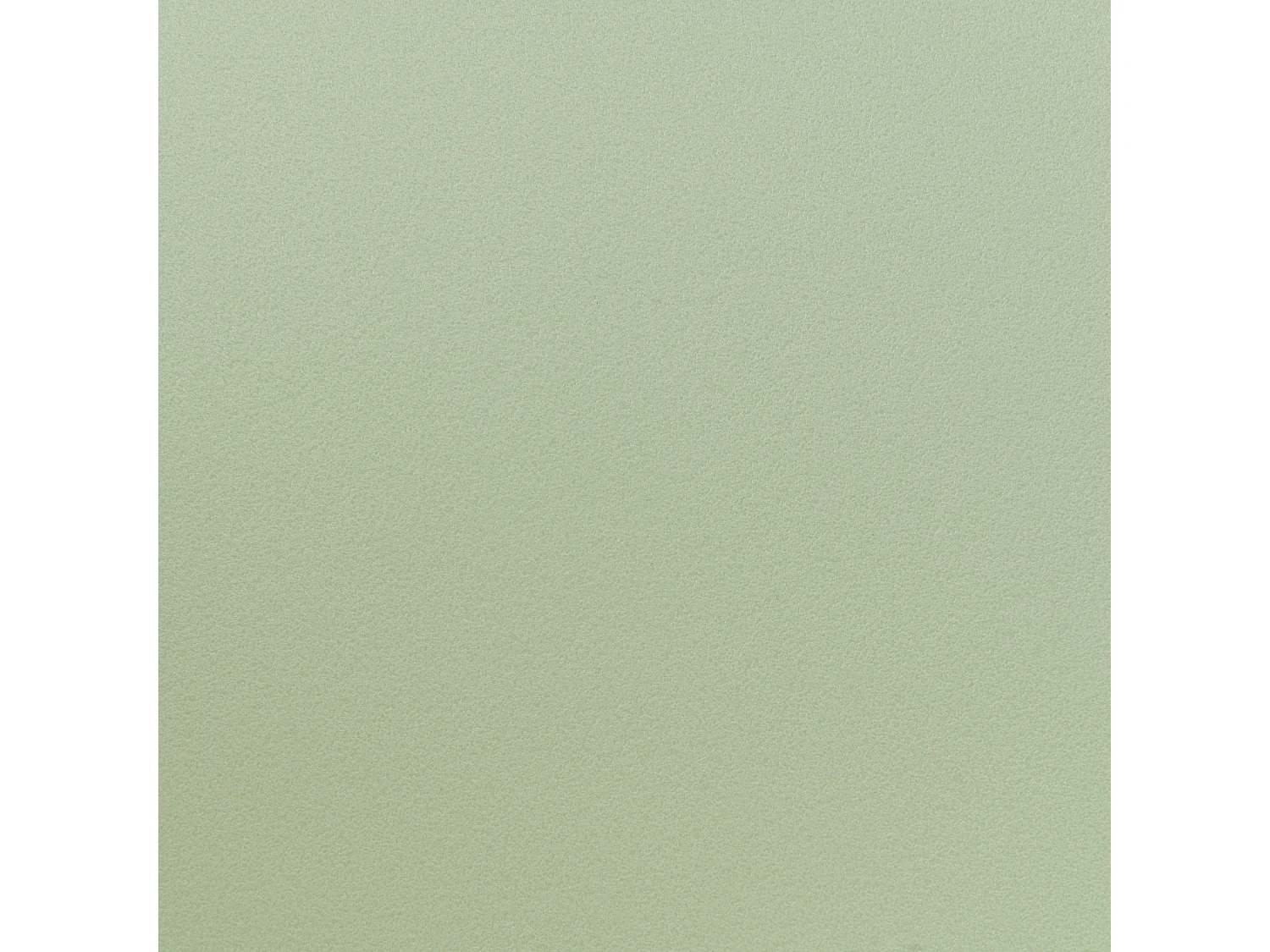 Lot de 2 chaises de salle à manger FONDA II Vert clair