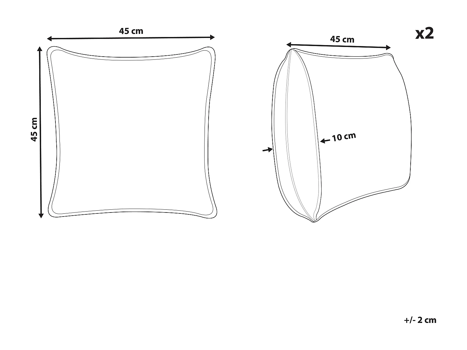 Lot de 2 coussins décoratifs TRITELEIA Velours 45 x 45 cm Rose Motif floral