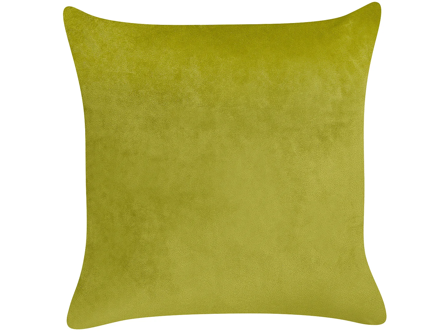 Conjunto de 2 cojines decorativos YUZURI Terciopelo 45 x 45 cm Verde claro Patrón animal