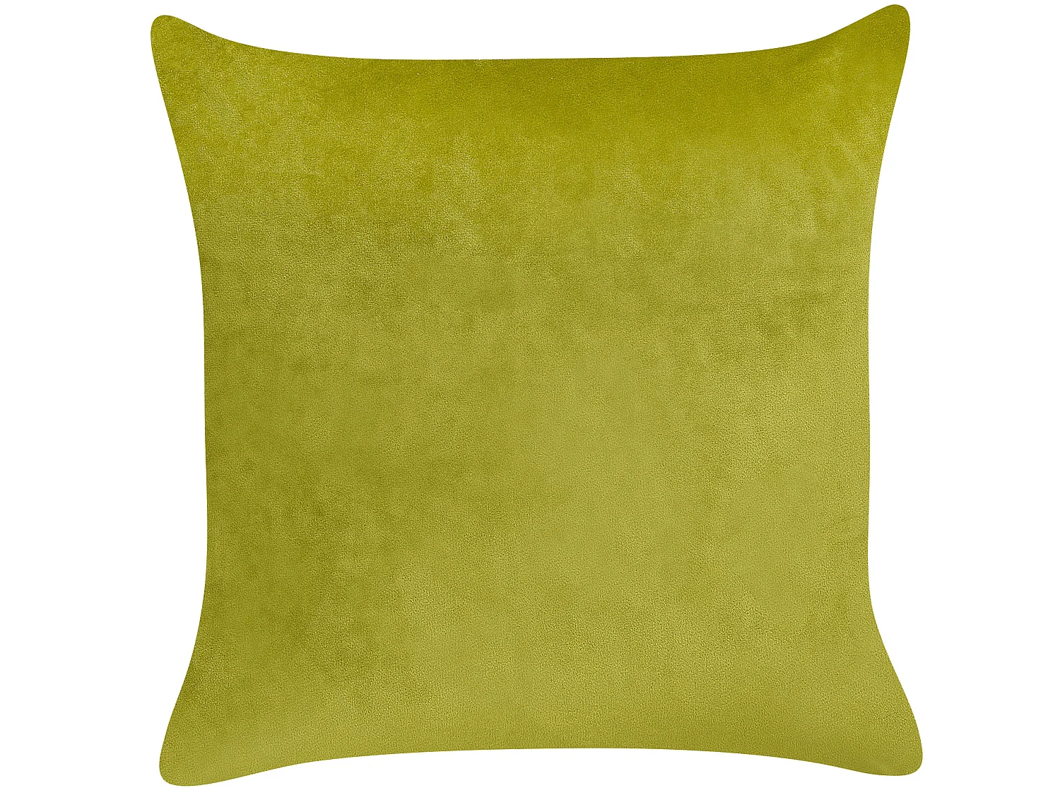 Conjunto de 2 cojines decorativos YUZURI Terciopelo 45 x 45 cm Verde claro Patrón animal