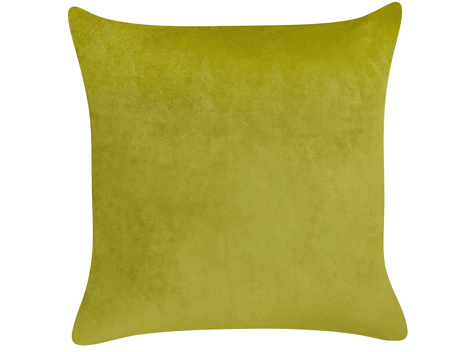 Lot de 2 coussins décoratifs YUZURI Velours 45 x 45 cm Vert clair Motif animal